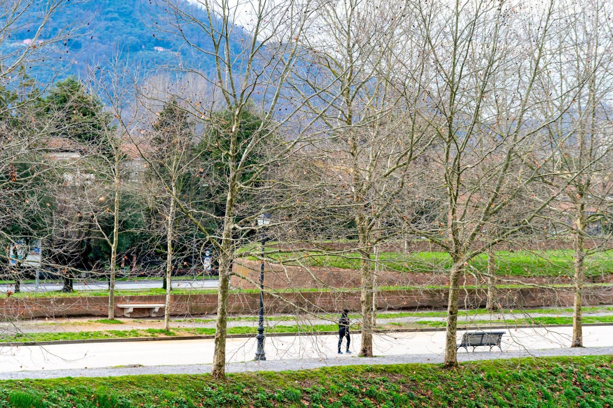 Cozy Apartment With A View On The City Walls Lucca Exterior foto